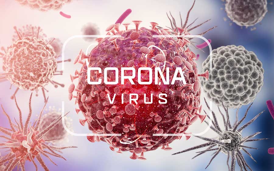 Corona virus - future predictions