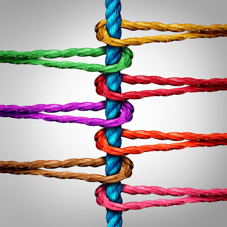 Featured image for “Building strong legal capability in financial services”