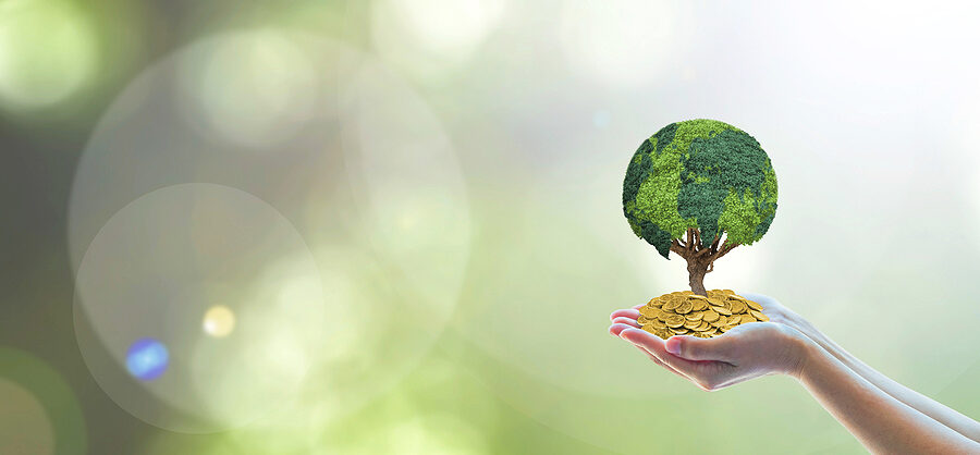 Featured image for “Winning in Wealth Management in 2026 – Report”