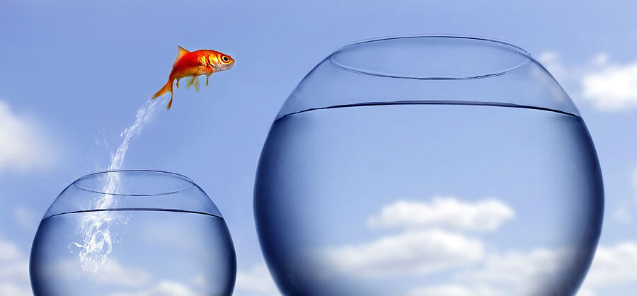 Featured image for “Thriving in Wealth Management 2026 – a career development guide”