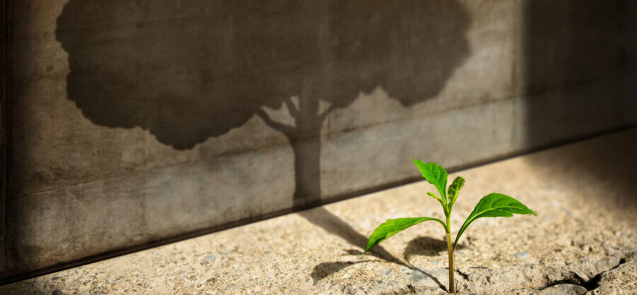 Featured image for “Venture Capital Salary Benchmarking – 2026”